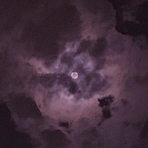 中文字幕亚洲综久久2021
